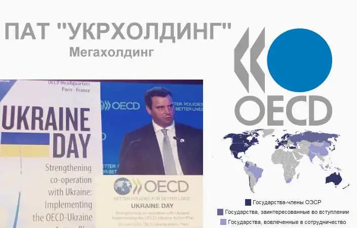 Мегахолдінг Мегахолдинг